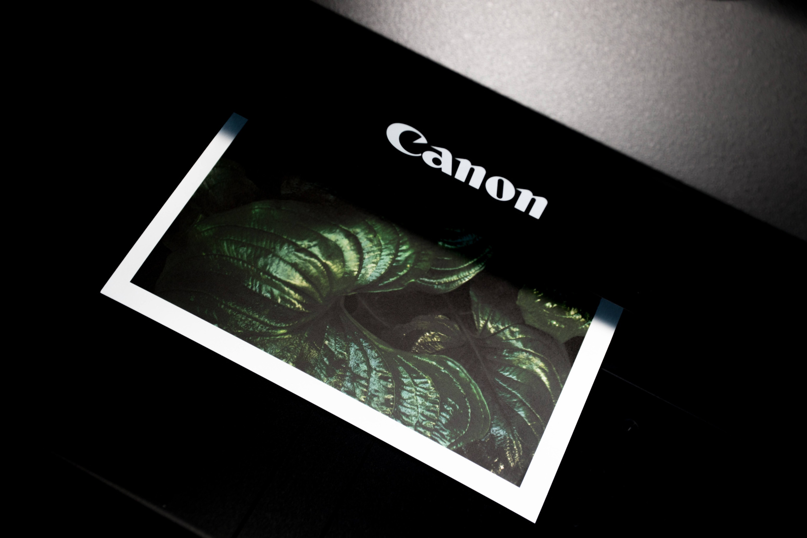 Kép nyomtatása Canon nyomtatóval